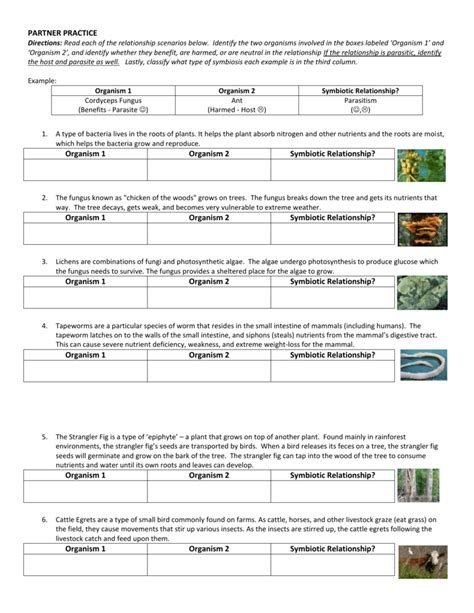 10++ Symbiosis Worksheet Answer Key – Worksheets Decoomo