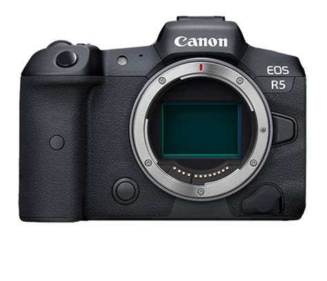 Rare Bird Alert North Carolina: Roseate Spoonbills spotted in Raleigh