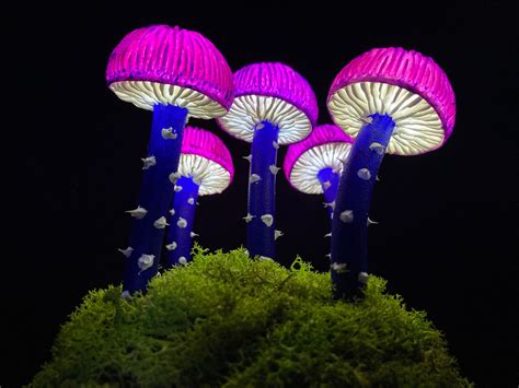 Bioluminescent Mushrooms