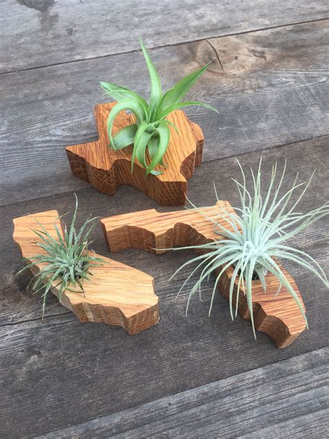 Cute Air Plant Holders In Solid Reclaimed Oak Check Them Out