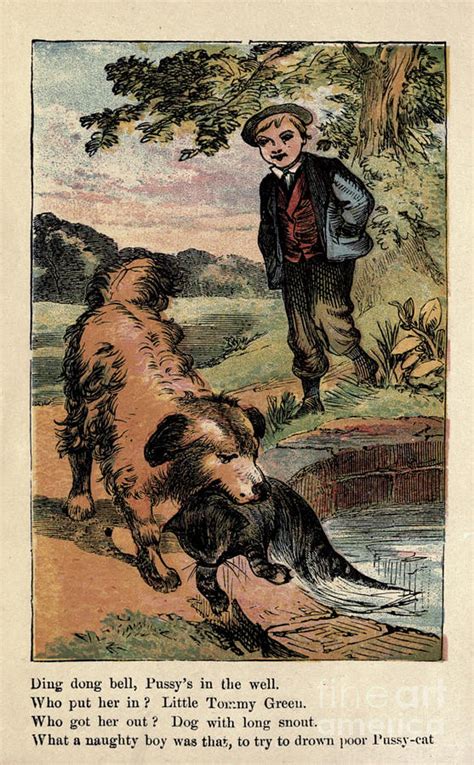 Ding Dong Bell Pussy S In The Well J Drawing By Historic Illustrations Fine Art America
