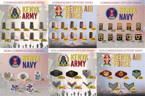 Kdf Ranks For Commissioned And Non Commissioned Officers In Kenya 2024