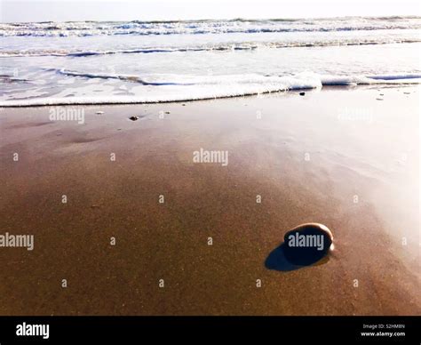 Hastings beach in England, UK Stock Photo - Alamy