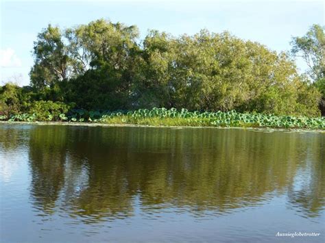 Corroboree Billabong Wetland Cruise