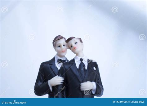 Pares Gay De La Boda Del Primero De La Torta Foto De Archivo Imagen De Tarde Modelo 147349656