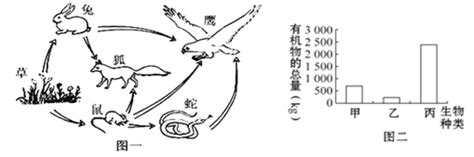 题目 如图一表示某生态系统中的食物网图二表示的是某条食物链中三种生物体内所含有机物总量 的直方图请据图回答下列问题1作为一个完整的