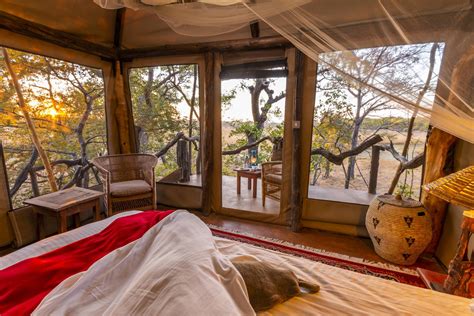 Fig Tree Bush Camp Winter Warmer Special - Mukambi Safari Lodge