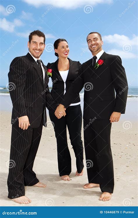 Gay Suit Tie Photos Free Royalty Free Stock Photos From Dreamstime
