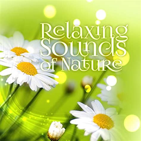 Amazon Music Serenity Nature Sounds Academyのrelaxing Sounds Of Nature