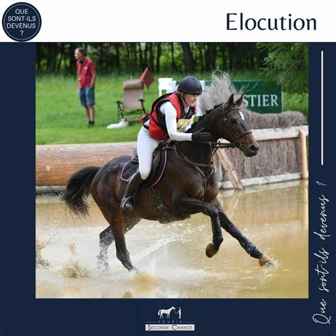 Er CCE Amateur Pour Elocution Ecurie Seconde Chance