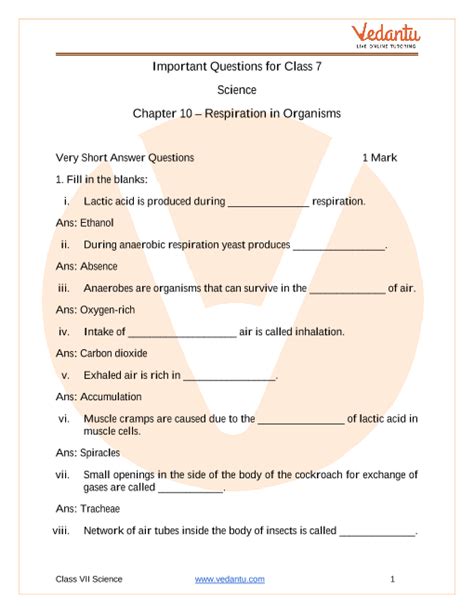 Important Questions For Cbse Class Science Chapter Respiration