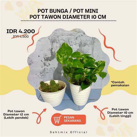 Jual Pot Bunga Pot Tawon Pot Tawon Pirus Tirus Tinggi Diameter