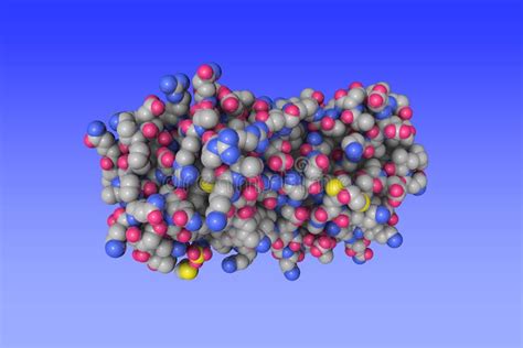 Nitrogen Regulatory Bacterial Protein Iia Nitrogen Space Filling