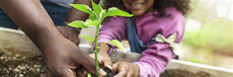 Fraser Blog - What Gardening Activities Help Ground Kids? - Fraser
