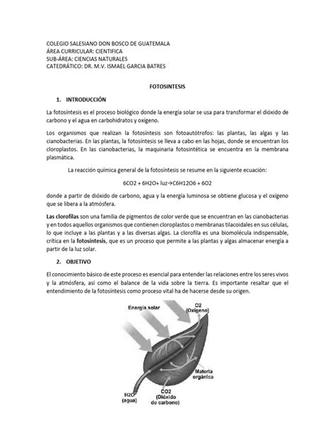FOTOSINTESIS | PDF | Fotosíntesis | Plantas 