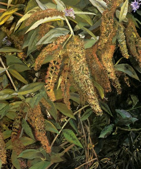 Naked Portrait By Lucian Freud Artchive