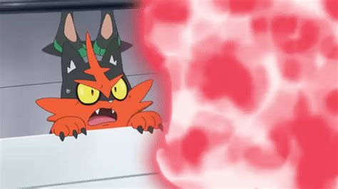 Noooo Dont Put Incineroar Away Pokémon Sun And Moon Know Your Meme