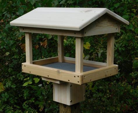 10+ Extra Large Bird House Kits