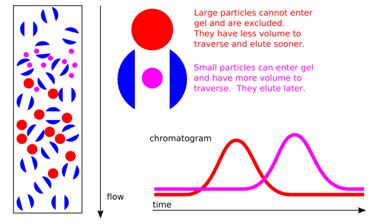 Protein Purification Methods Based on Whole Structure: Size and Shape