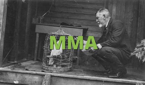 mma meaning slangorg