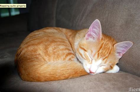 Links 8 22 10 Naked Capitalism