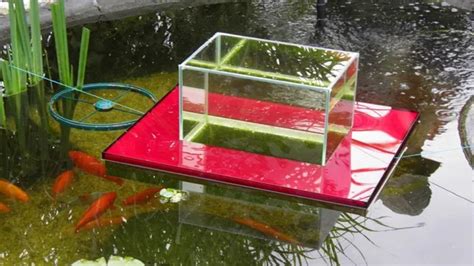 How To Make A Floating Aquarium In 5 Easy Steps Your Step By Step Guide