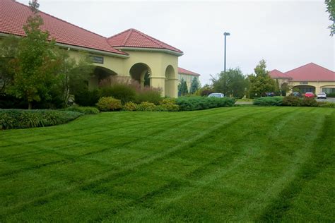 Lawn Care & Maintenance | Lawrence Landscape