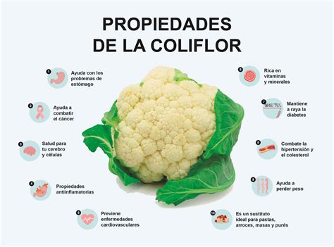 Coliflor Que Es Origen Beneficios Tipos Valor Nutricional Y M S The