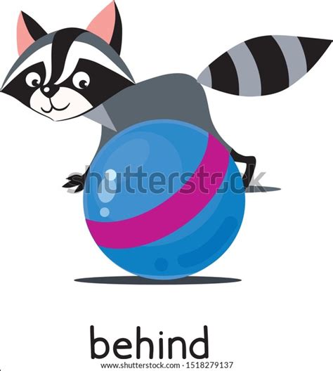 Preposition Place Raccoon Behind Ball Royalty Free Vector Hot Sex Picture