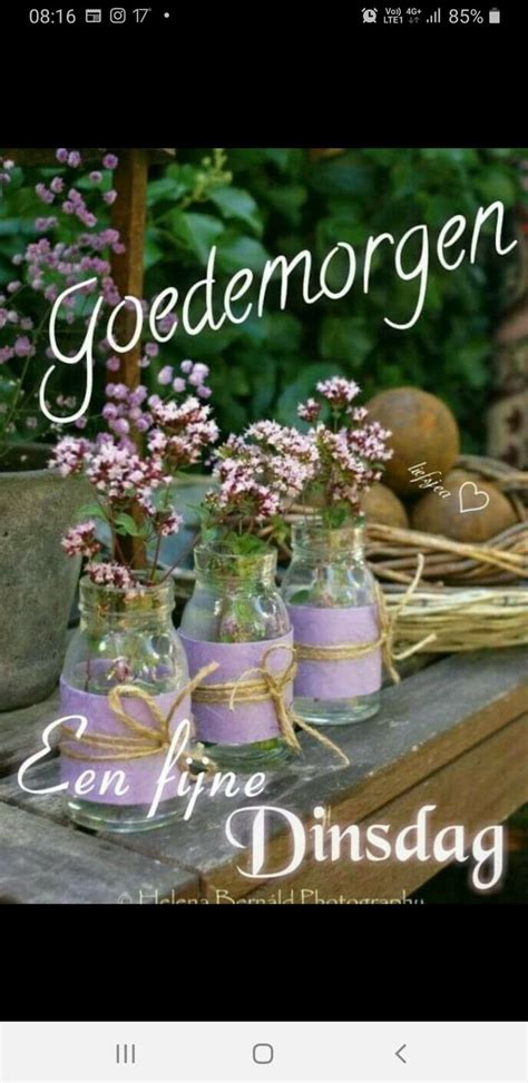 Pin By Ingrid Loyens On FIJNE DINSDAG Wedding Centerpieces Diy