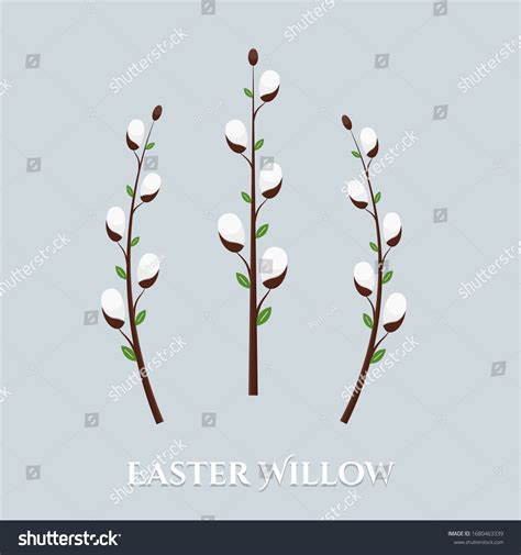 Pussy Willows Drawing