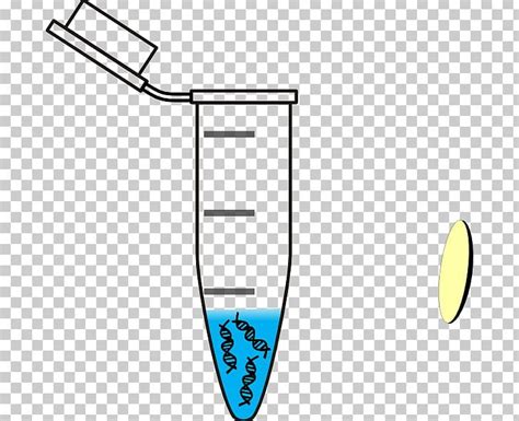 Laboratory Centrifuge DNA Eppendorf Test Tubes PNG Clipart Angle