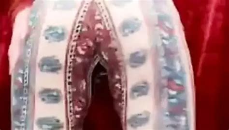 Lxts Twerking Clapping Her Phat Ass On Cam Shemale Webcam Porn XHamster