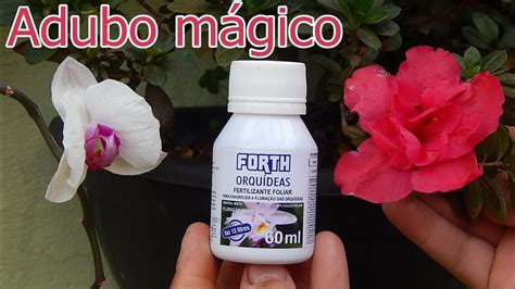 Adubo Para Orquídea Florir - FAÇA SUA ORQUÍDEA FLORIR EM DOBRO COM ESSE ADUBO - YouTube