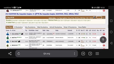 15 Mayıs 2024 Çarşamba Elazığ at yarışı tahminleri Elazığ altılı ganyan