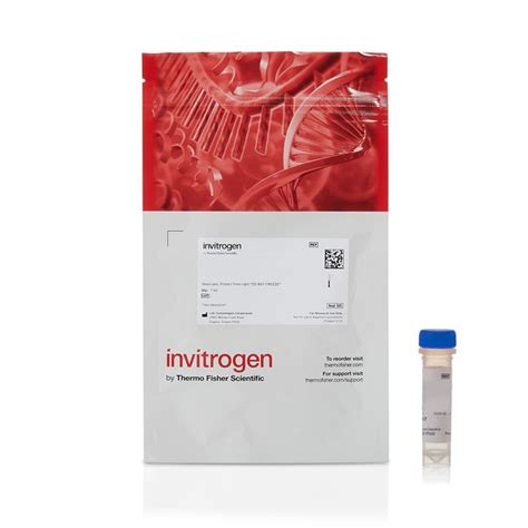 molecular probes alexa fluor    maleimide mg fisher scientific