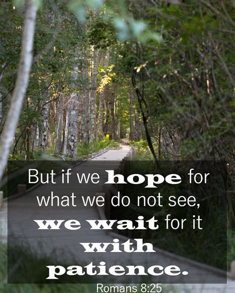 Bible Quotes About Patience Romans 8 • Good Enough Catholic