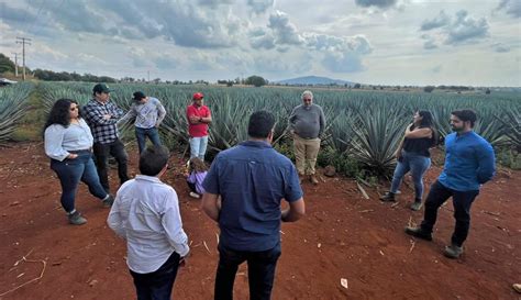 Estudiantes De Maestría En Procesos Del Tequila Visitan Campos Y Planta