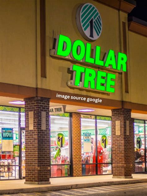 11 Pantry Items To Buy At Dollar Tree StatAnalytica