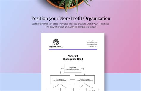 Nonprofit Organization Chart Template in Word, PDF, Google Docs ...