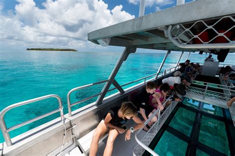 Glass Bottom Boat 5 Lady Musgrave Experience Great Barrier Reef