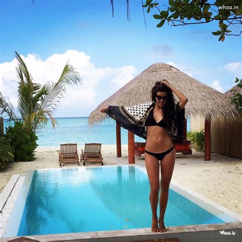 Natasa Stankovic Black Bikini Cleavage HD Wallpaper My Gallery