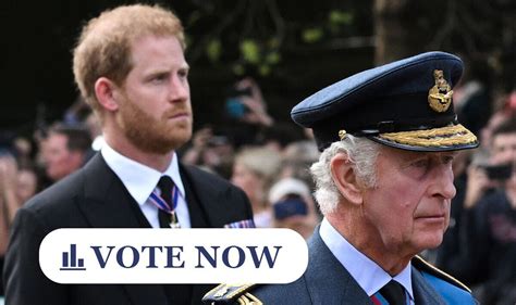 POLL: Should the Royal Family welcome Prince Harry back to Britain with ...