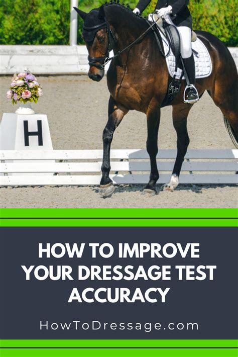 How and why to ride a give and retake of the reins – Artofit