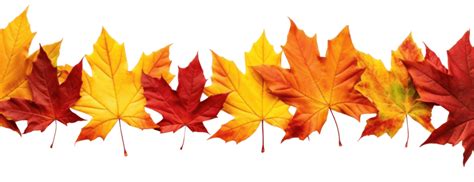 fall border clipart png