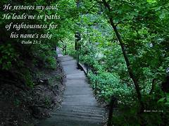 Psalm For The Wild Built