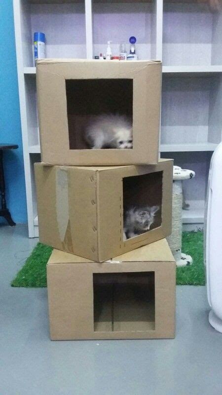 Pin By Goomayy Wee On Kitty Cardboard Cat House Diy Cat Bed Cat