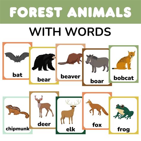 forest habitat animals list