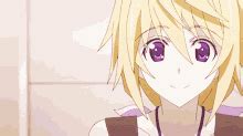 Charlotte Dunois Bikini Charlotte Dunois Bikini Infinite Stratos