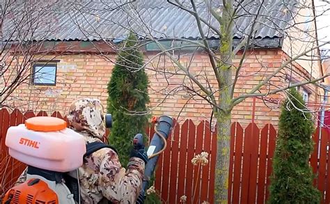 Комплексная защита сада от вредителей и болезней - опрыскивание и ...